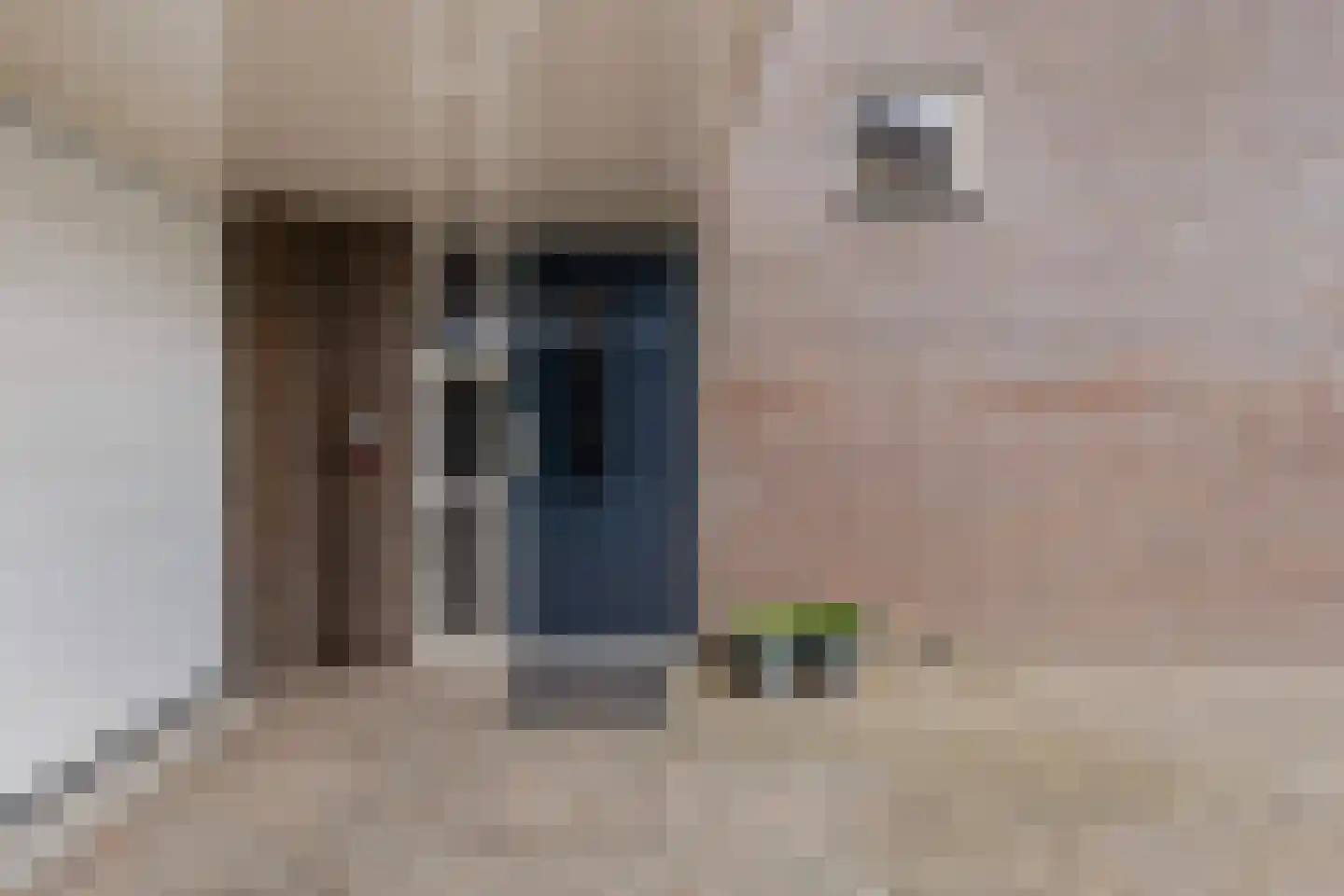 Het Zool 13 Leeuwarden thumbnail 29