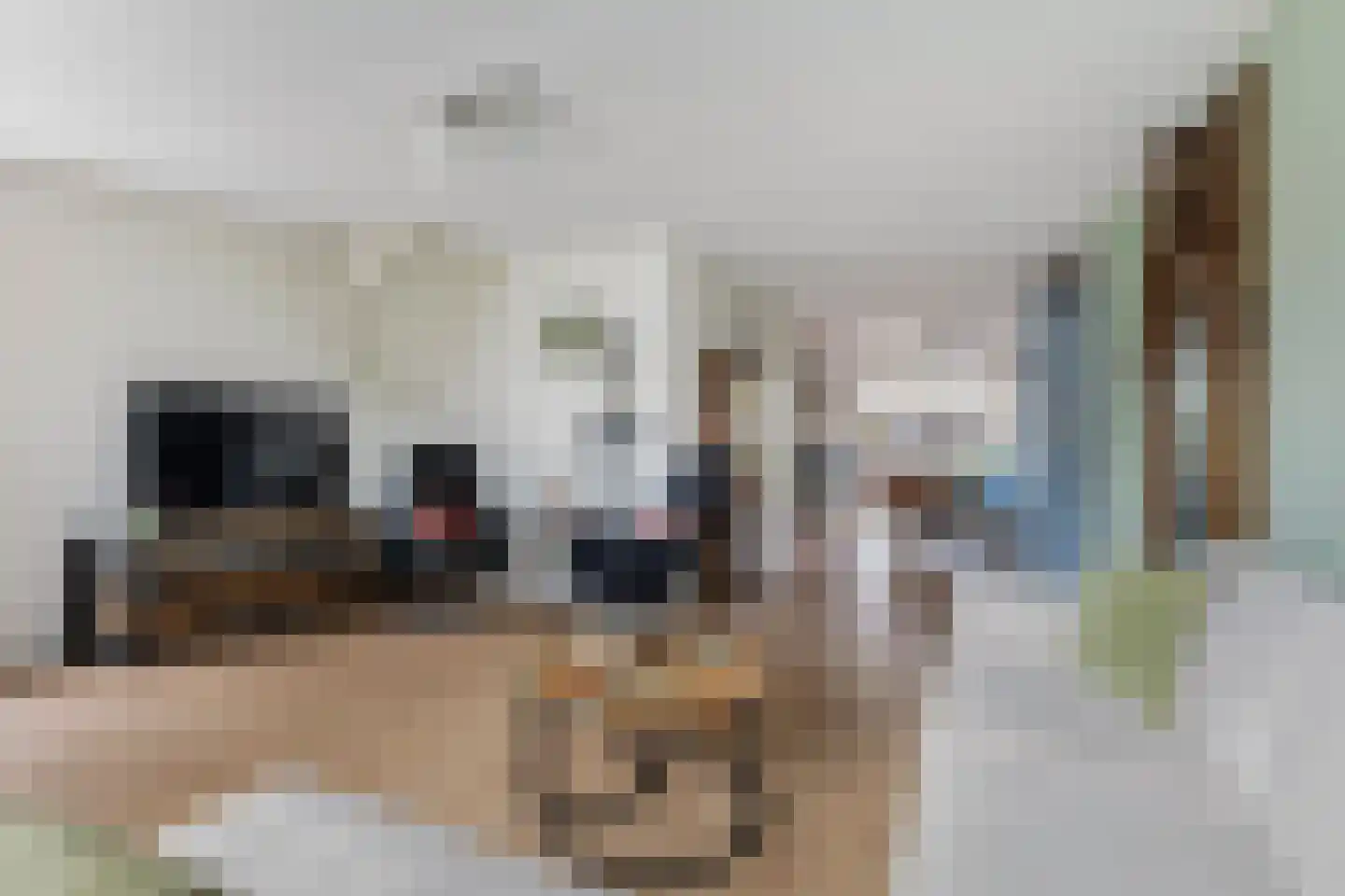 Het Zool 13 Leeuwarden thumbnail 4
