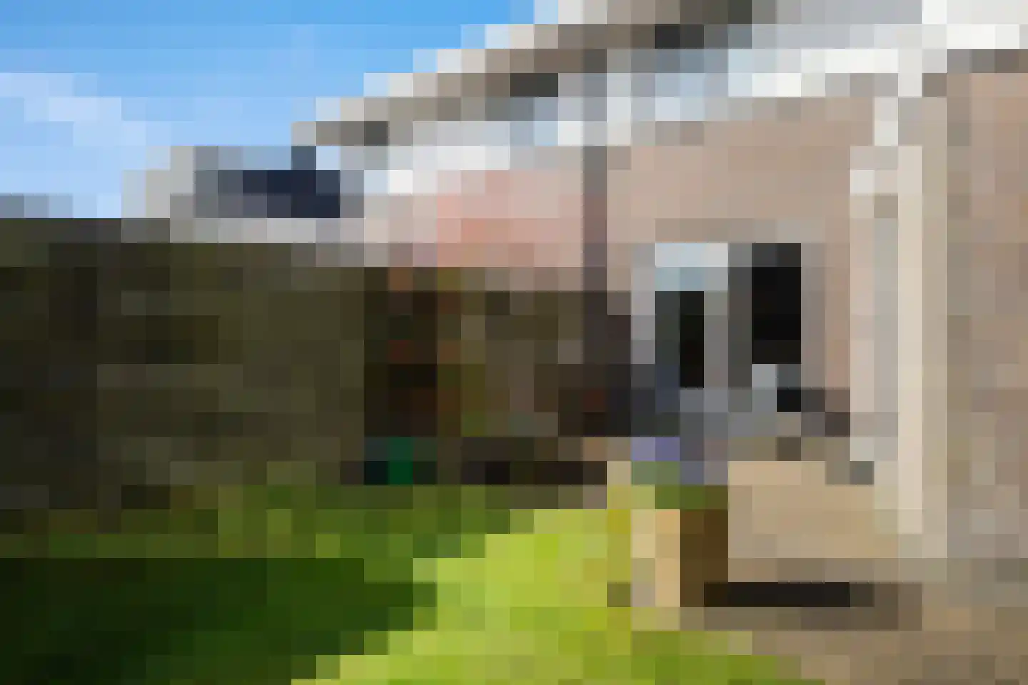 Het Zool 20 Leeuwarden thumbnail 19