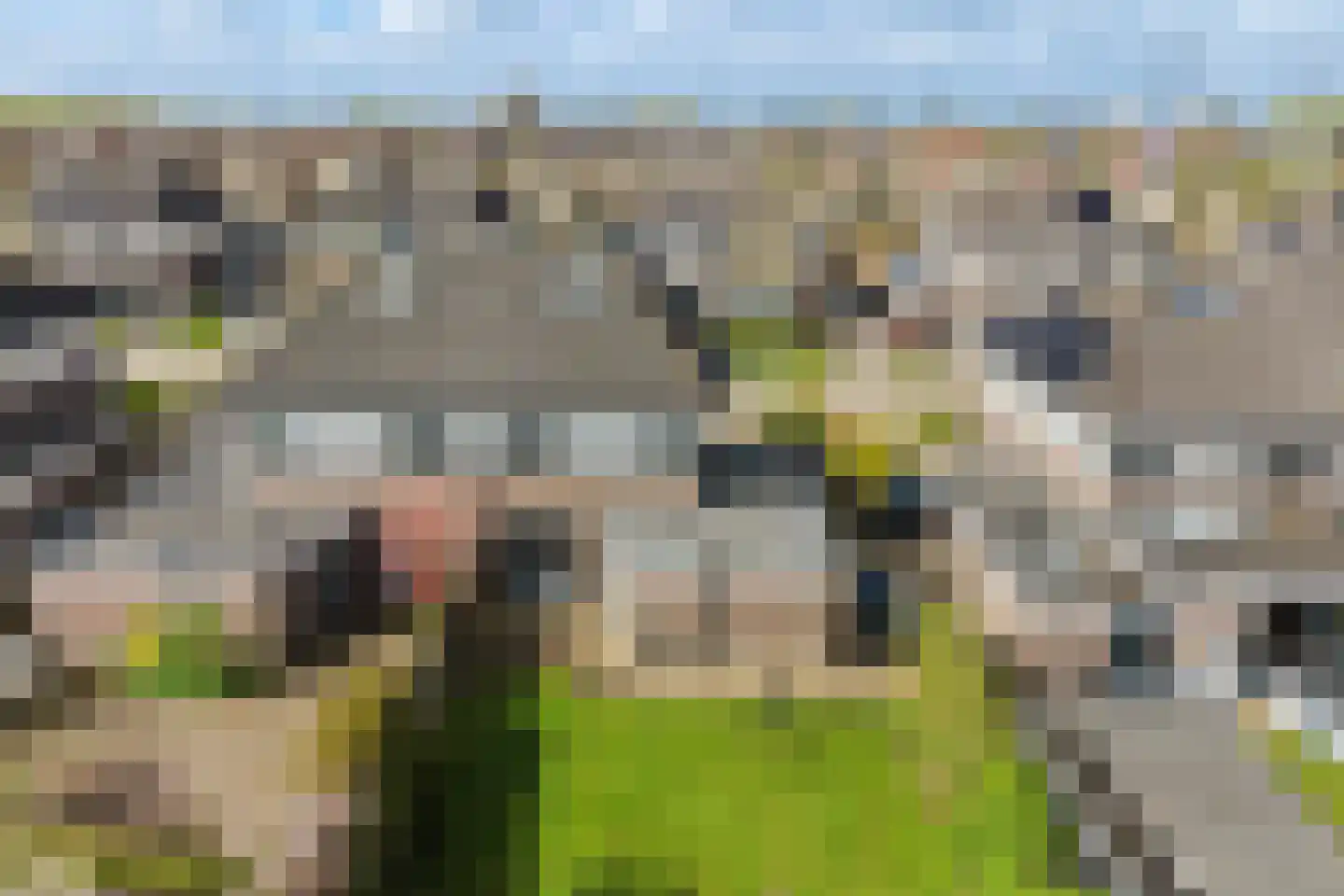 Het Zool 20 Leeuwarden thumbnail 39