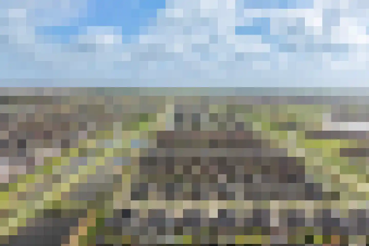 Het Zool 20 Leeuwarden thumbnail 40
