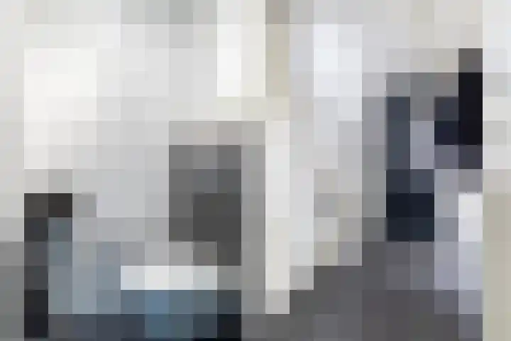 Het Zool 24 Leeuwarden thumbnail 13