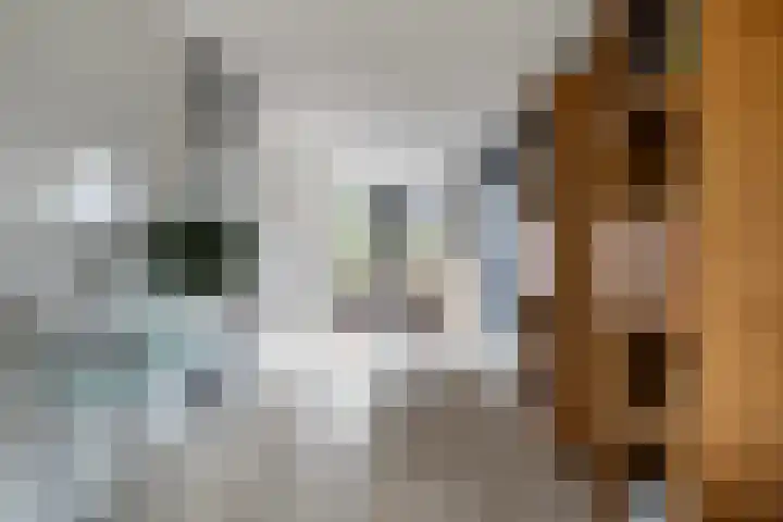 Het Zool 24 Leeuwarden thumbnail 16