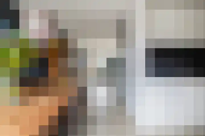 Het Zool 24 Leeuwarden thumbnail 18