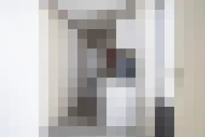 Het Zool 24 Leeuwarden thumbnail 21