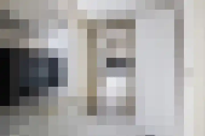 Het Zool 24 Leeuwarden thumbnail 22