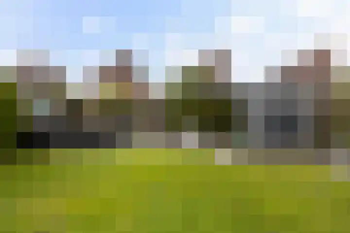 Het Zool 24 Leeuwarden thumbnail 24