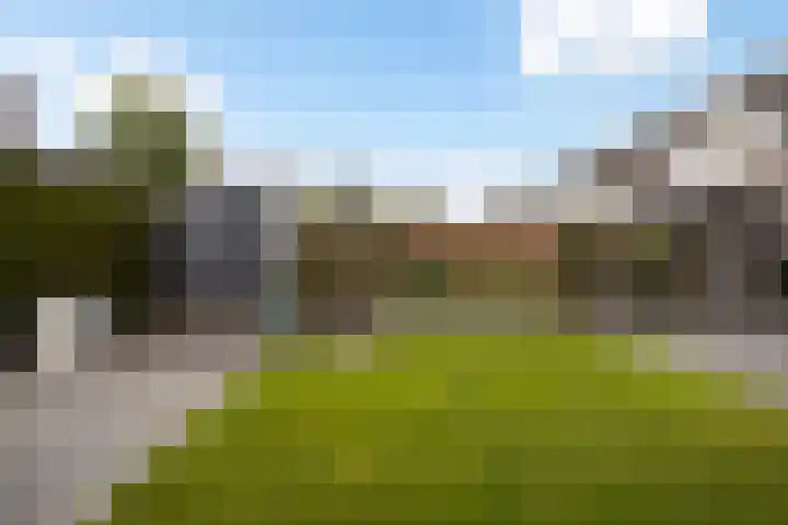 Het Zool 24 Leeuwarden thumbnail 25