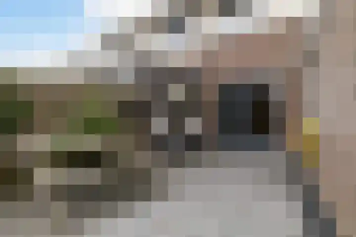 Het Zool 24 Leeuwarden thumbnail 27