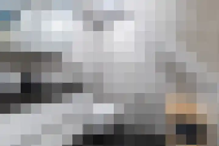Het Zool 24 Leeuwarden thumbnail 35
