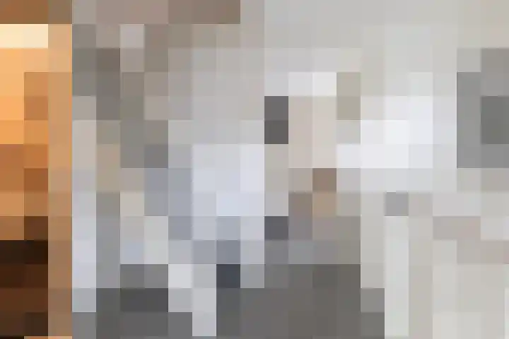 Het Zool 24 Leeuwarden thumbnail 37