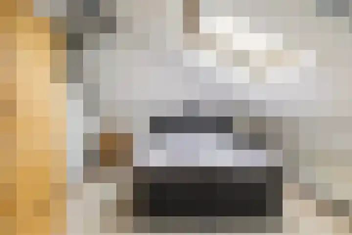 Het Zool 24 Leeuwarden thumbnail 38