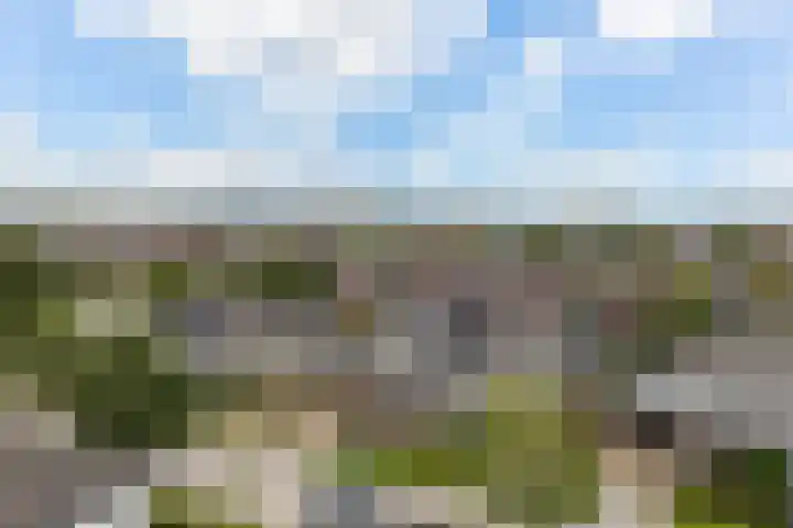 Het Zool 24 Leeuwarden thumbnail 42