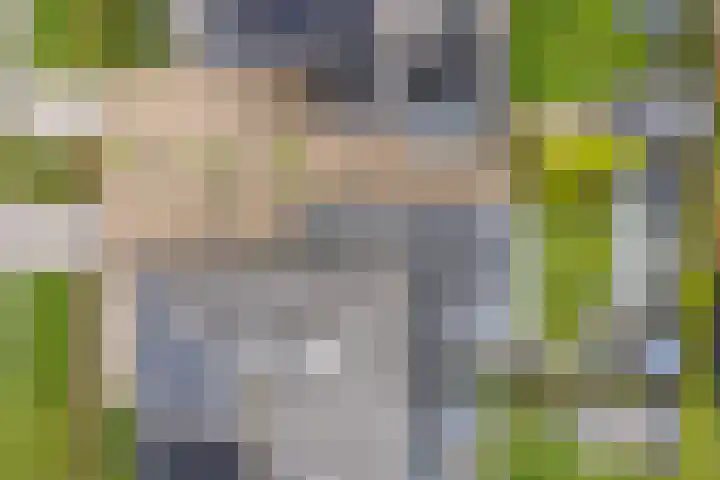 Het Zool 24 Leeuwarden thumbnail 43