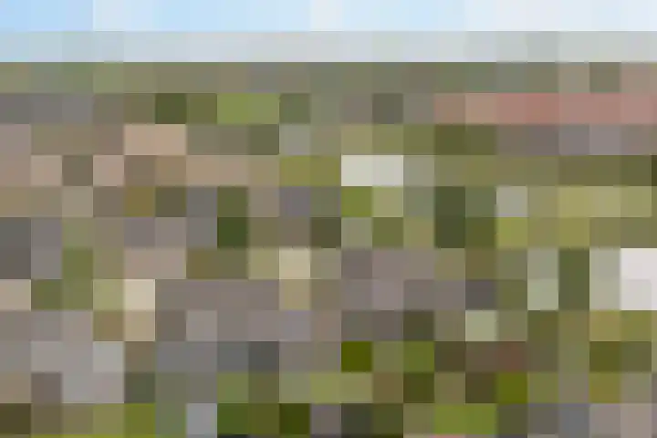 Het Zool 24 Leeuwarden thumbnail 44