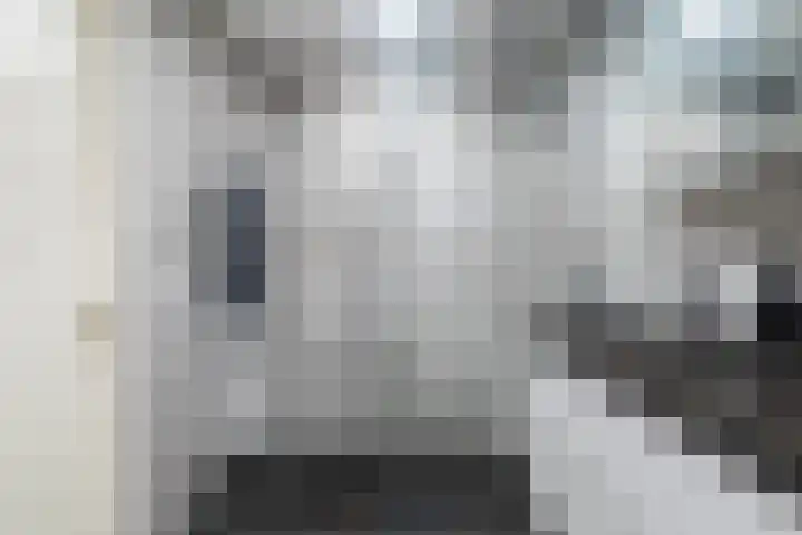 Het Zool 24 Leeuwarden thumbnail 5