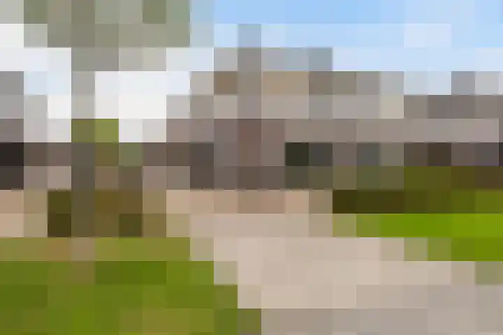 Het Zool 24 Leeuwarden thumbnail 6