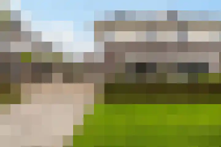Het Zool 24 Leeuwarden thumbnail 7