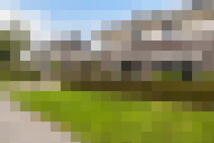 Het Zool 24 Leeuwarden thumbnail 8