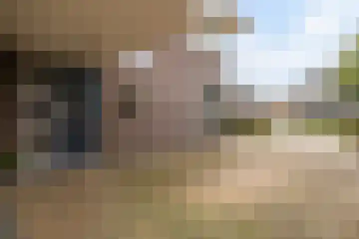 Het Zool 24 Leeuwarden thumbnail 9