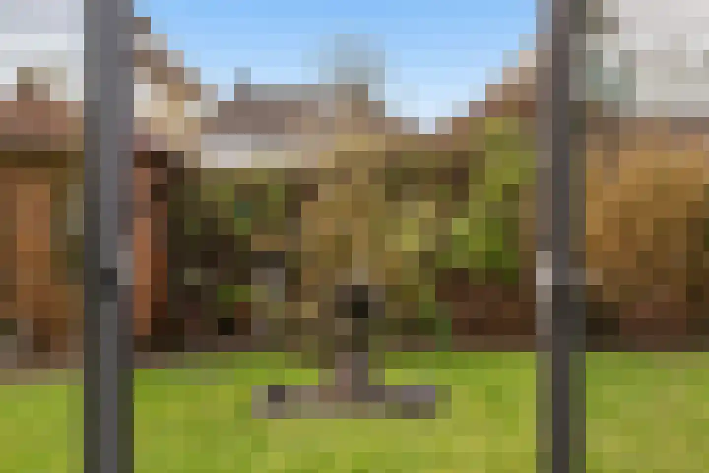 Het Zool 32 Leeuwarden thumbnail 19