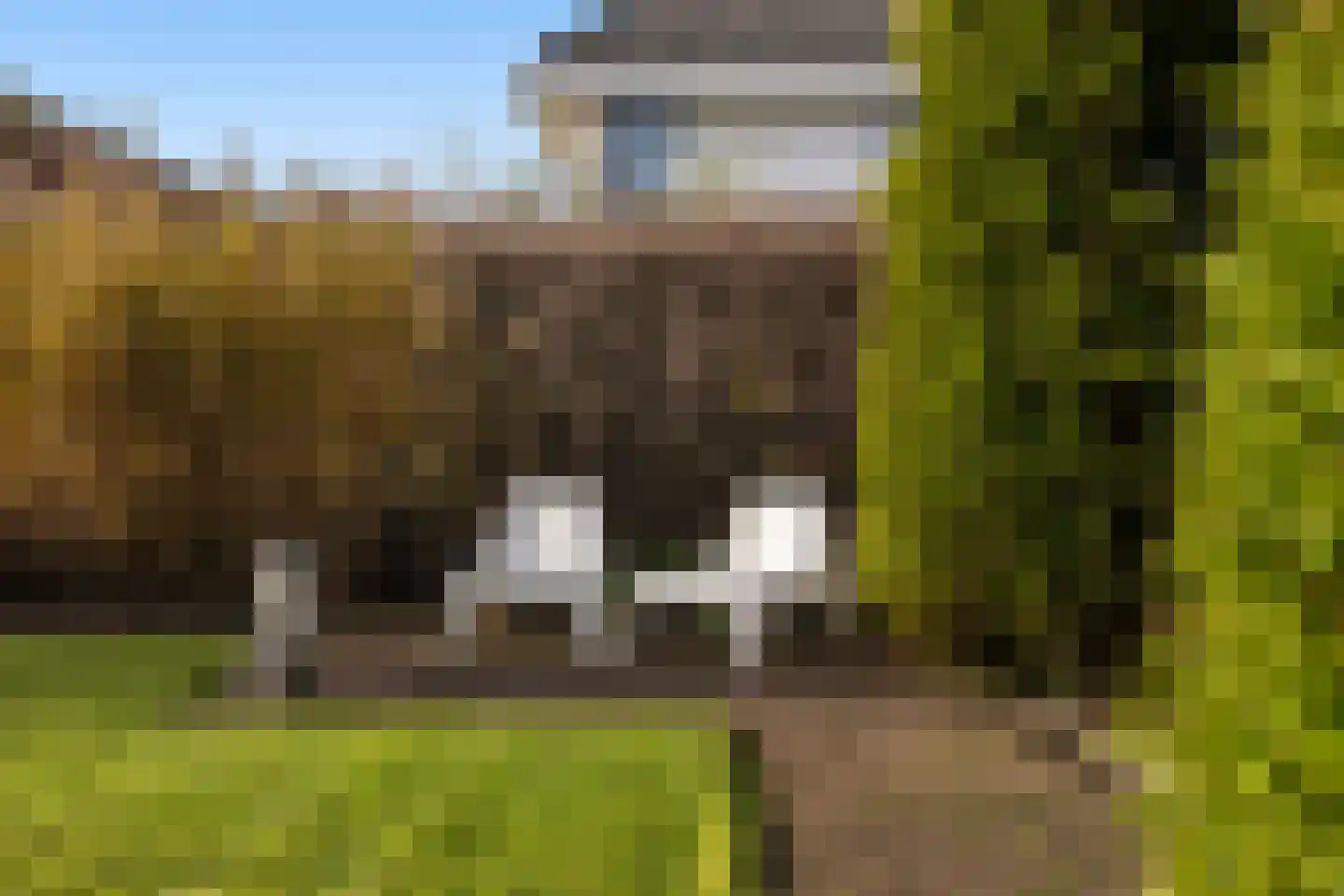 Het Zool 32 Leeuwarden thumbnail 22