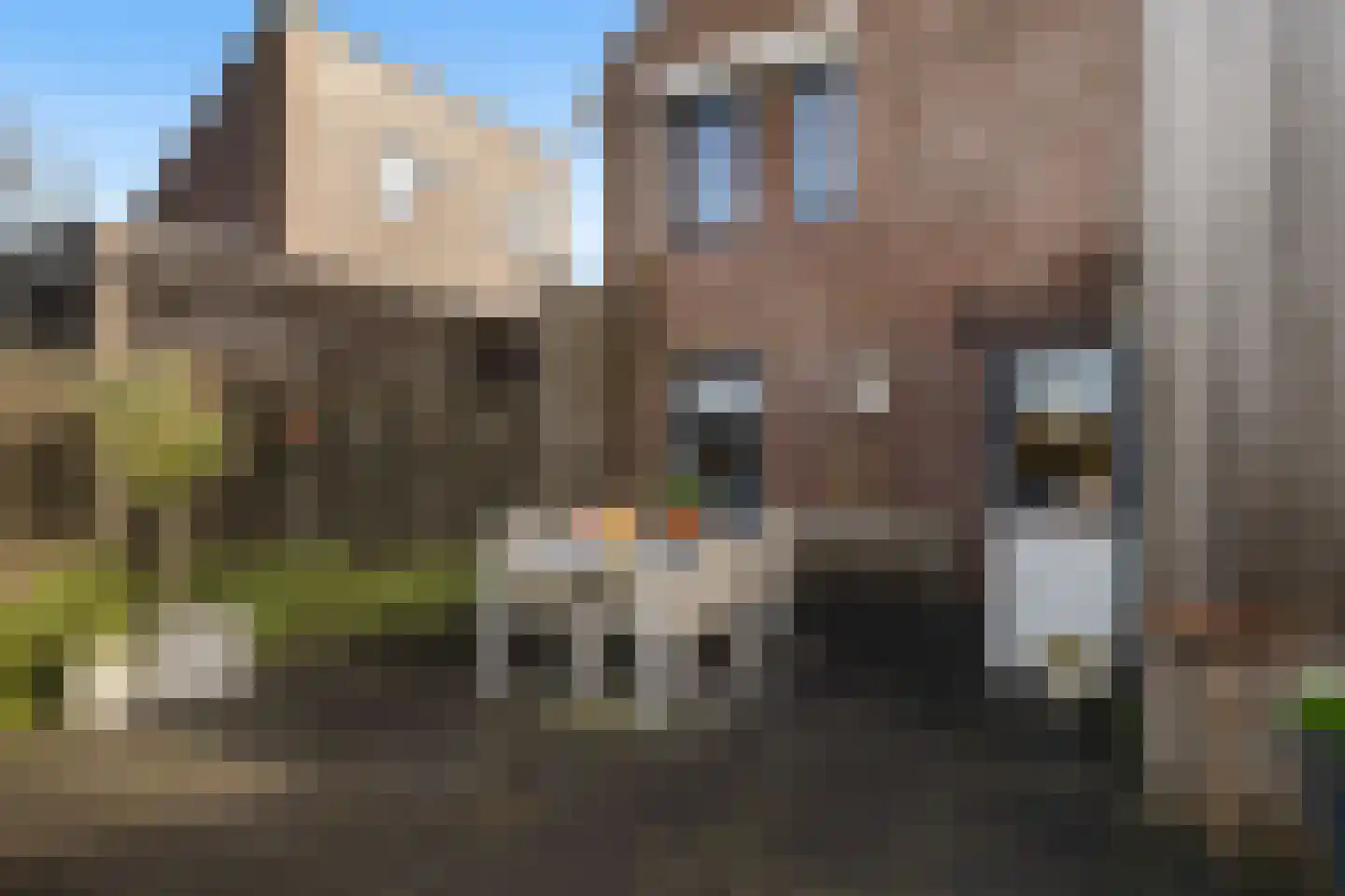 Het Zool 32 Leeuwarden thumbnail 25
