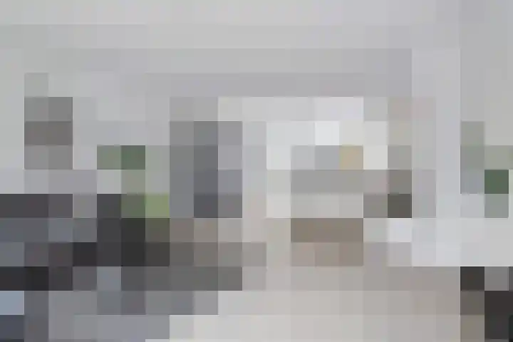 Het Zool 34 Leeuwarden thumbnail 12