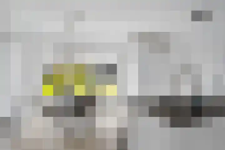 Het Zool 34 Leeuwarden thumbnail 13