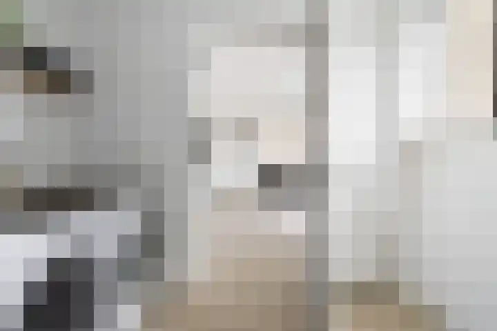 Het Zool 34 Leeuwarden thumbnail 18