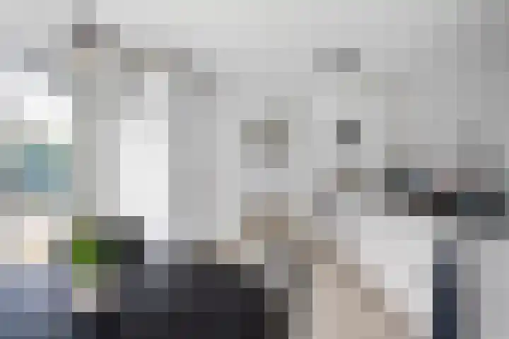 Het Zool 34 Leeuwarden thumbnail 21