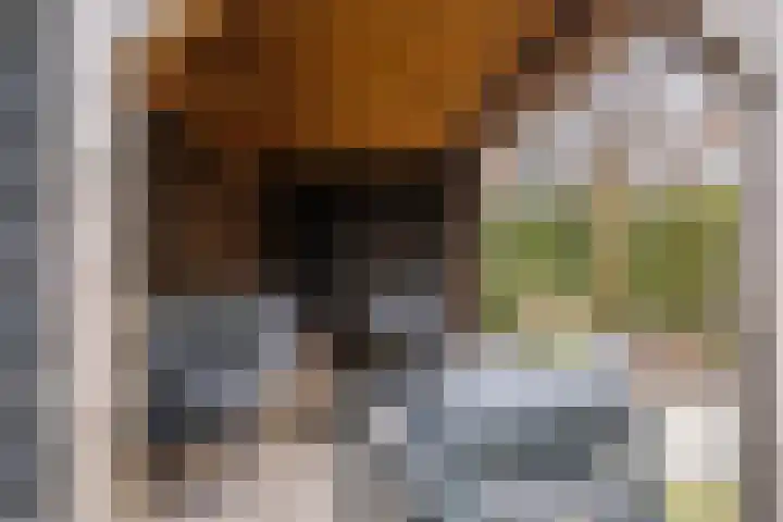 Het Zool 34 Leeuwarden thumbnail 25