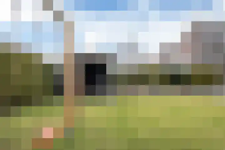 Het Zool 34 Leeuwarden thumbnail 26
