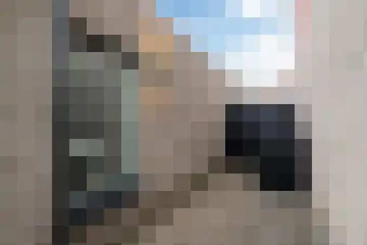Het Zool 34 Leeuwarden thumbnail 28