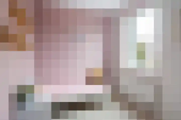 Het Zool 34 Leeuwarden thumbnail 32