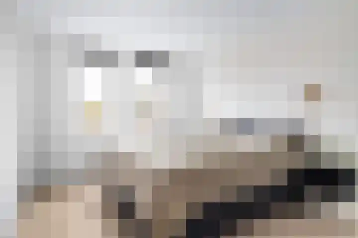 Het Zool 34 Leeuwarden thumbnail 33
