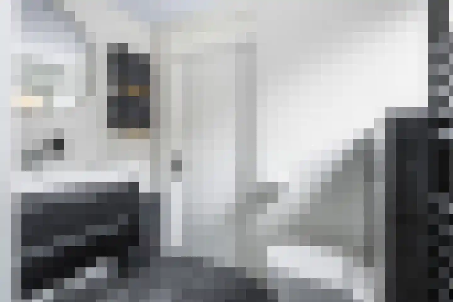 Het Zool 34 Leeuwarden thumbnail 36