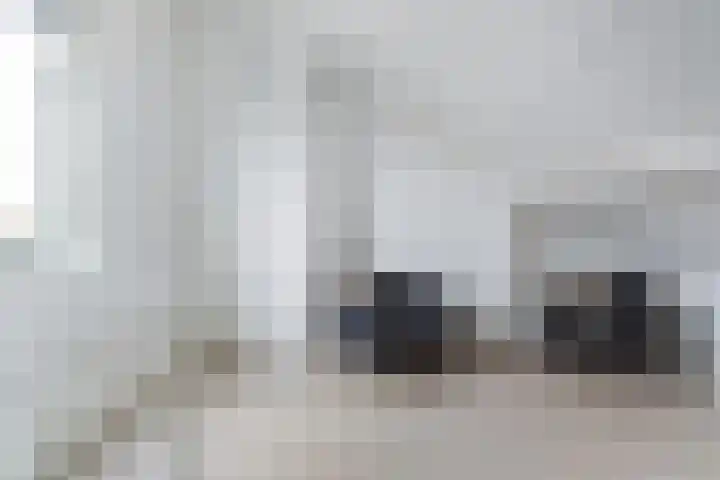 Het Zool 34 Leeuwarden thumbnail 39