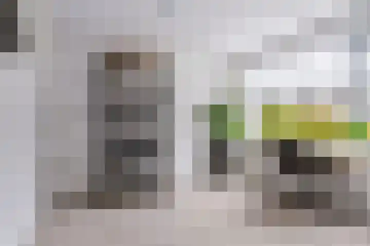 Het Zool 34 Leeuwarden thumbnail 8