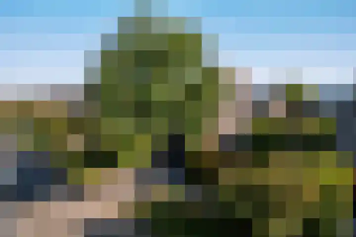 Het Zool 41 Leeuwarden thumbnail 10