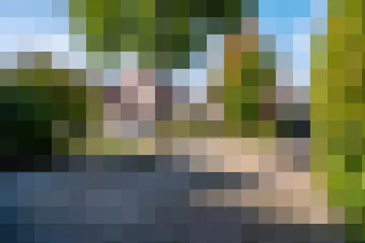 Het Zool 41 Leeuwarden thumbnail 12