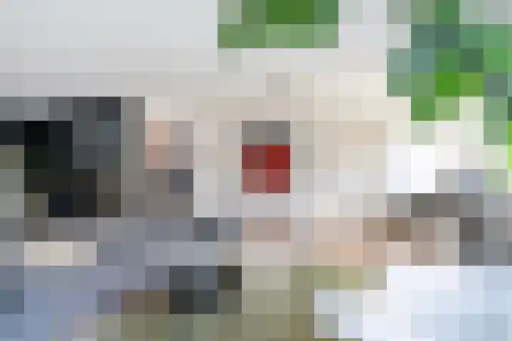 Het Zool 41 Leeuwarden thumbnail 20