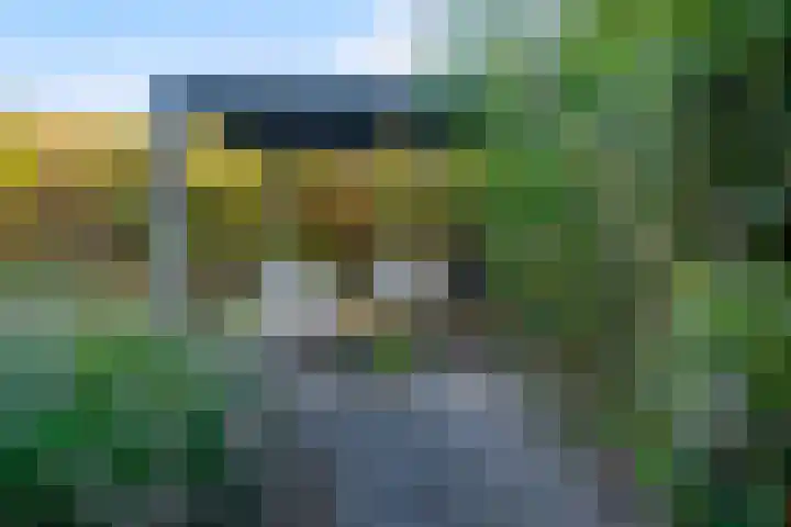 Het Zool 41 Leeuwarden thumbnail 33