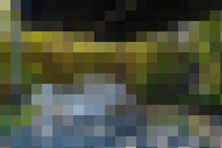 Het Zool 41 Leeuwarden thumbnail 34