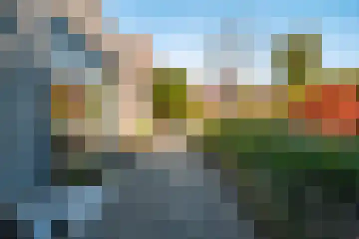 Het Zool 41 Leeuwarden thumbnail 36