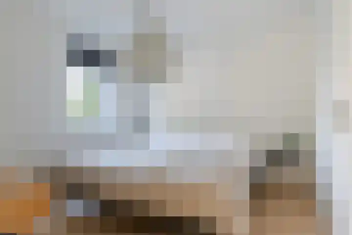 Het Zool 41 Leeuwarden thumbnail 40