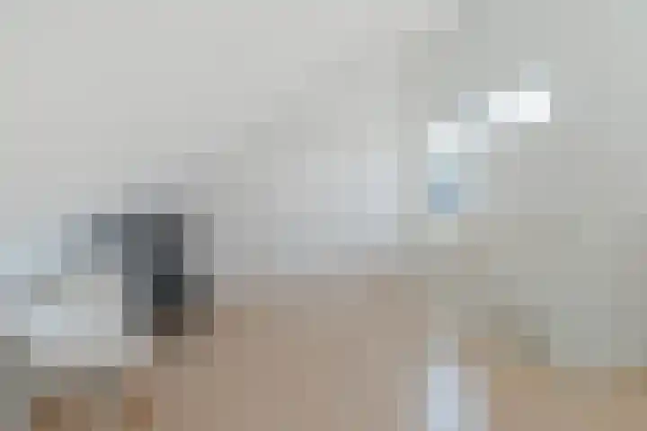 Het Zool 41 Leeuwarden thumbnail 48