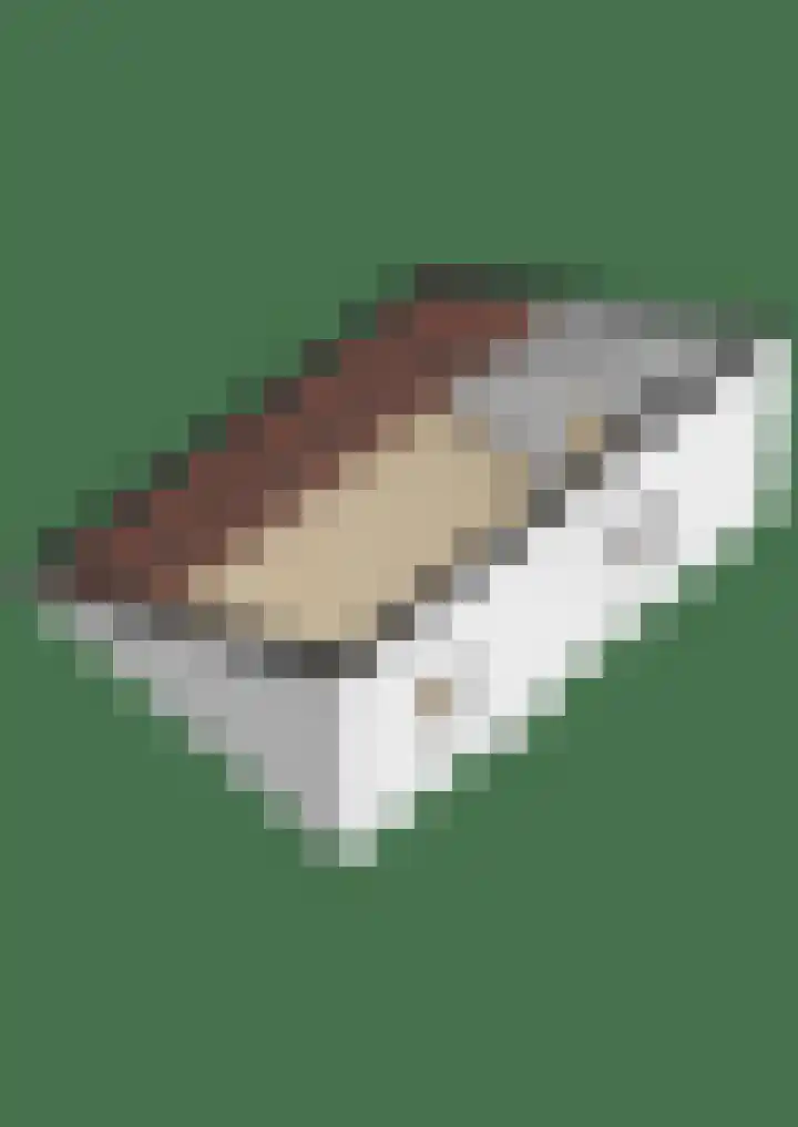 Het Zool 41 Leeuwarden thumbnail 54