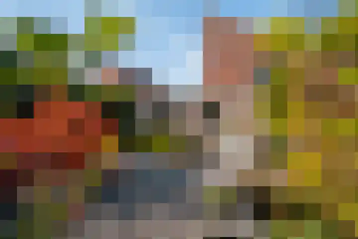 Het Zool 41 Leeuwarden thumbnail 7