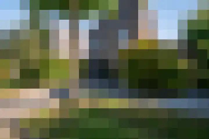 Het Zool 41 Leeuwarden thumbnail 9